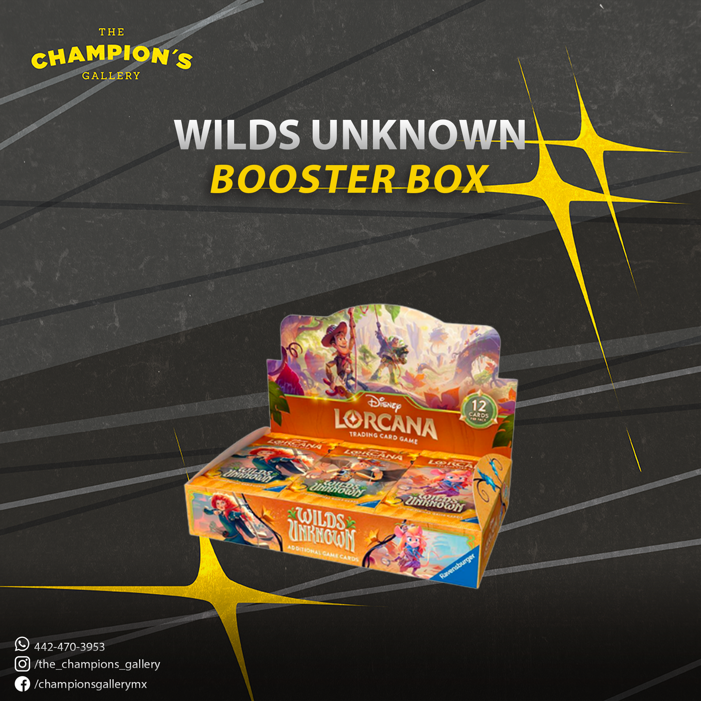 Wilds unknown - booster box