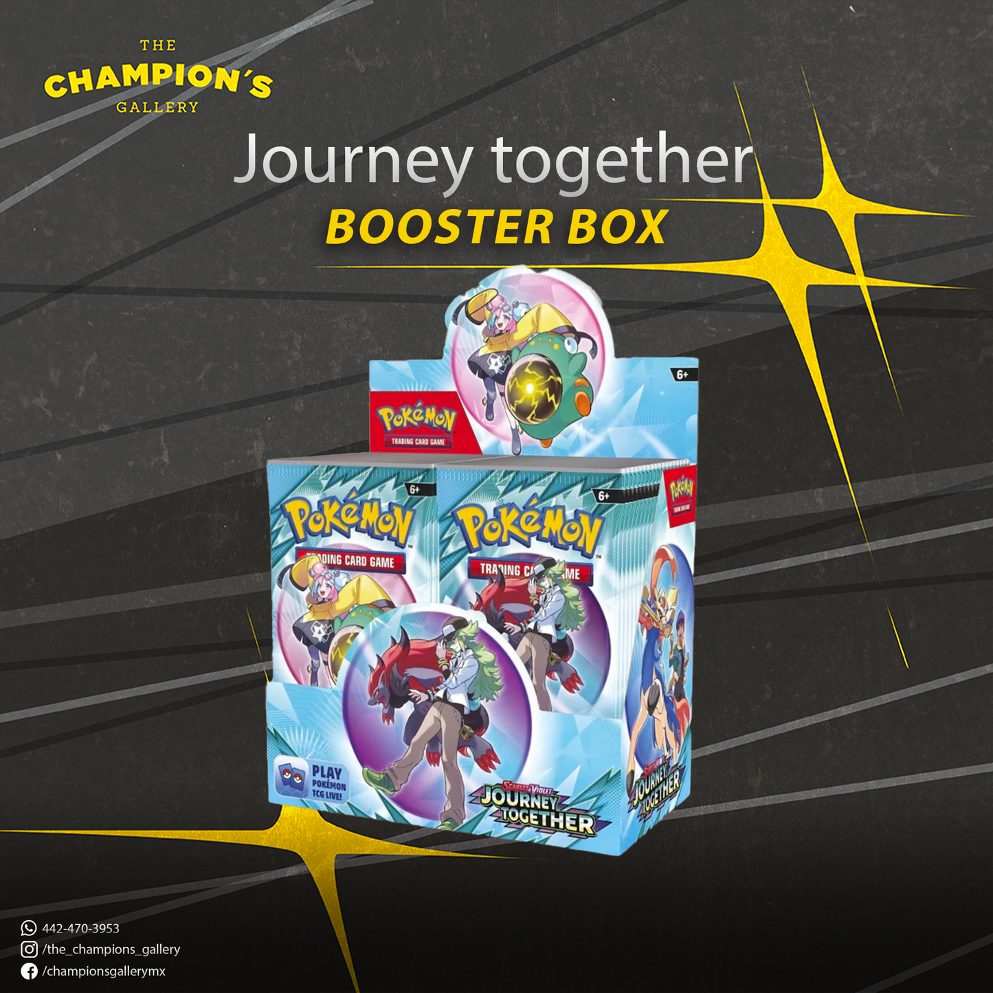 Journey together - Booster box
