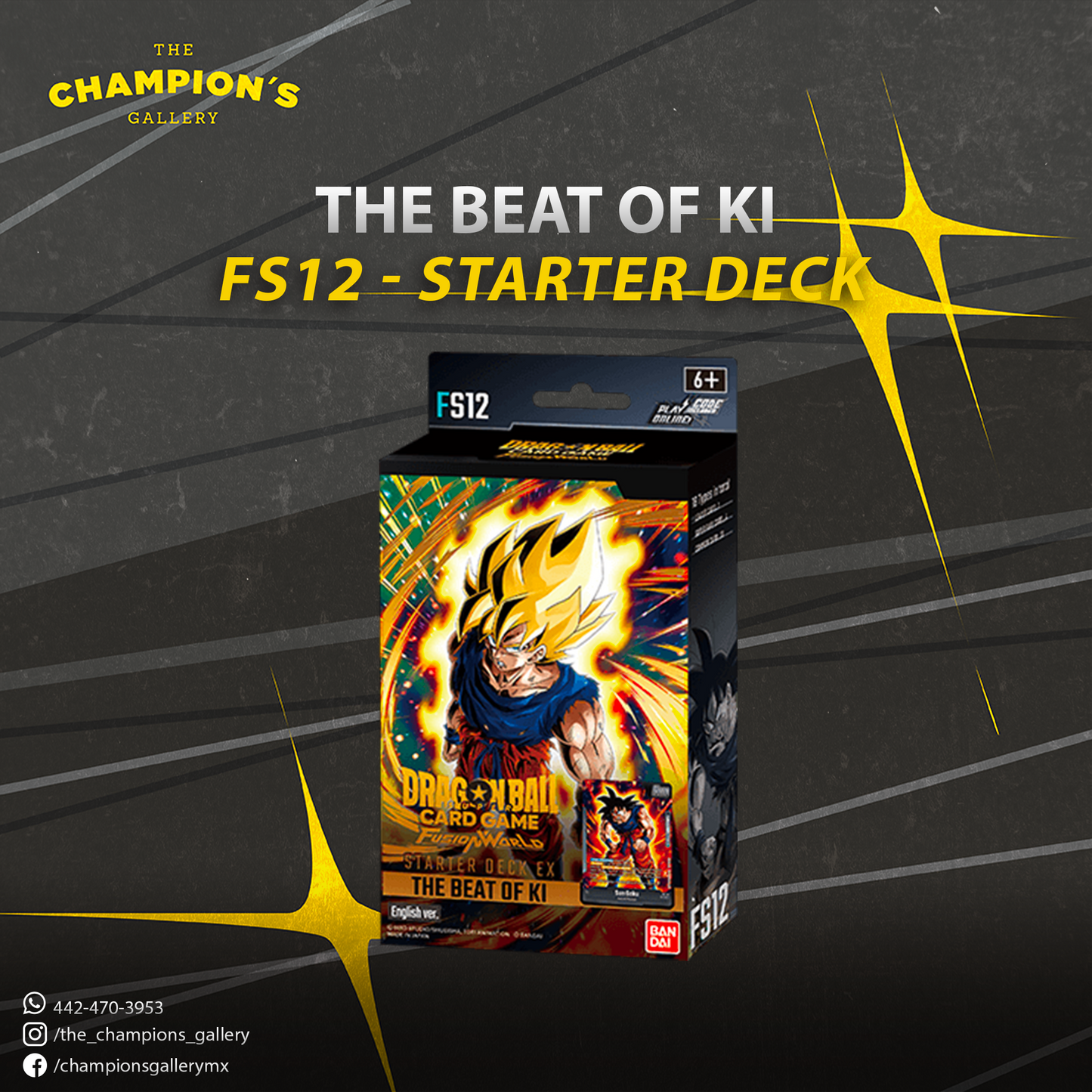 Starter deck ex - The beat of ki - FS12