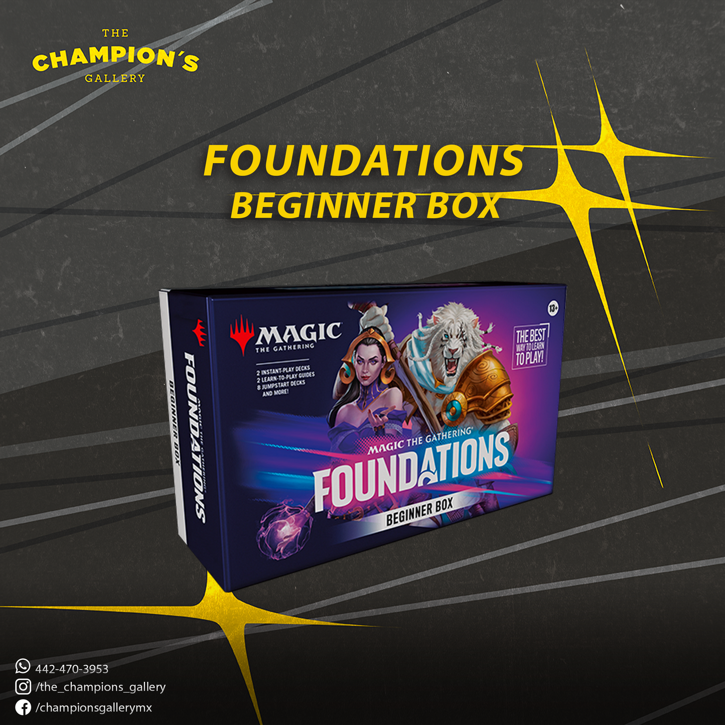 Foundations - Beginner box