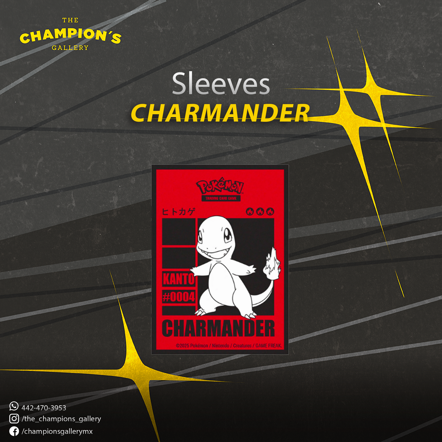 Deck Protectors: Pokemon - Charmander