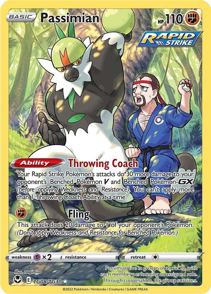 Passimian [TG08/TG30]