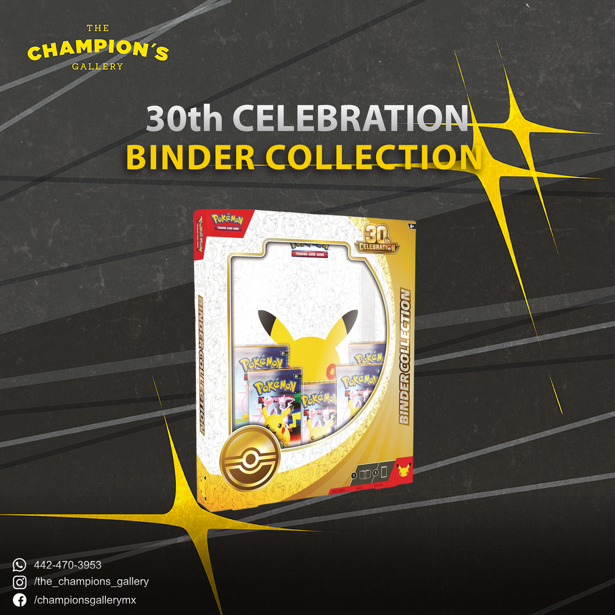 Pokemon: 30 Aniversario - Binder
