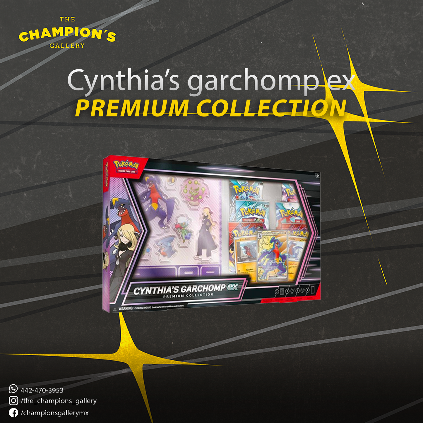 Cynthia's Garchomp ex Premium Collection