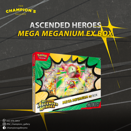 Ascended heroes - Mega meganium ex box