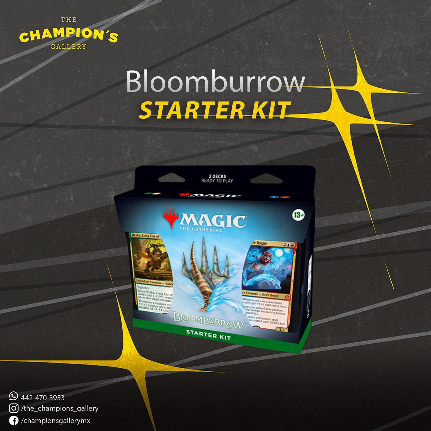 Starter kit - Bloomburrow